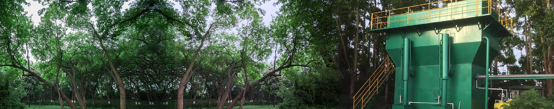http://www.gdhanluo.com/data/upload/202002/20200218164318_949.jpg
